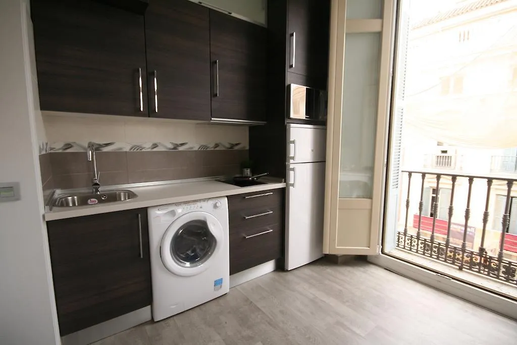 Apartamentos Calle Larios Malaga 0*,