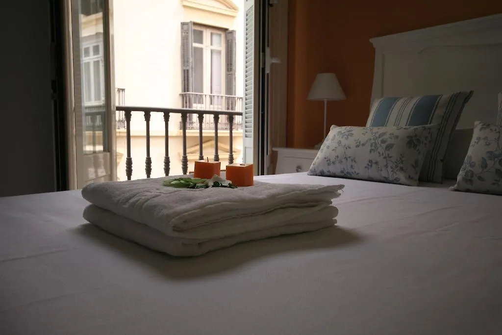 Apartamentos Calle Larios Malaga