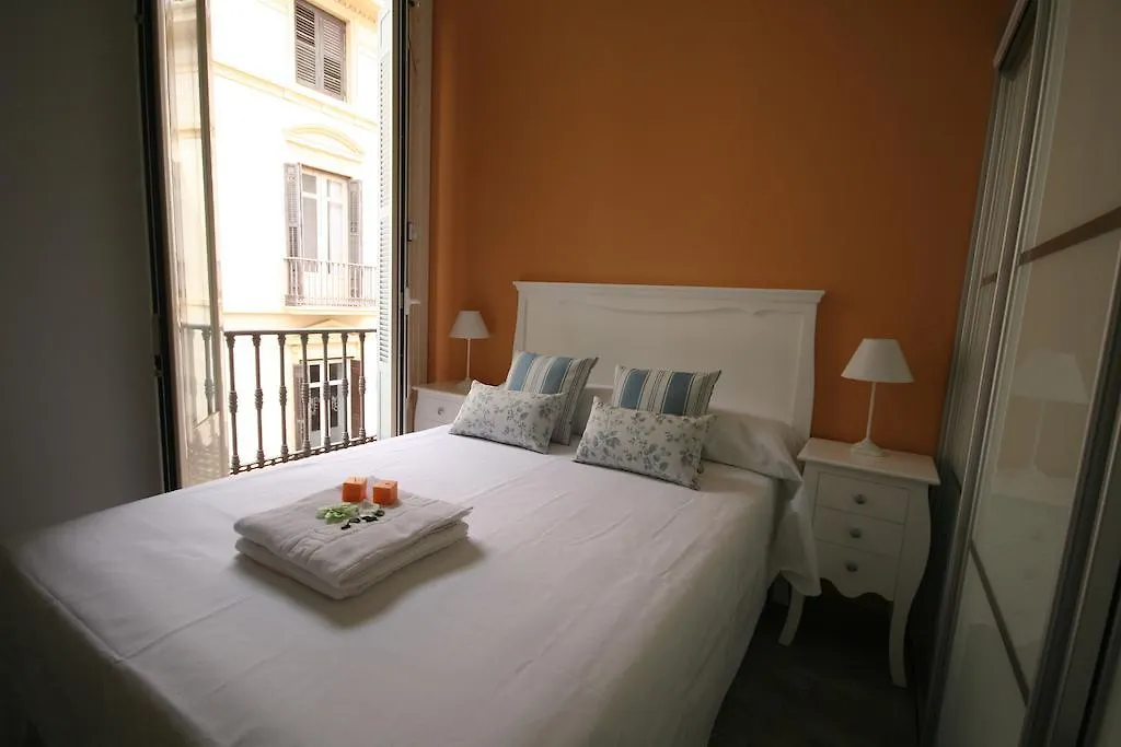 Apartment Apartamentos Calle Larios Malaga