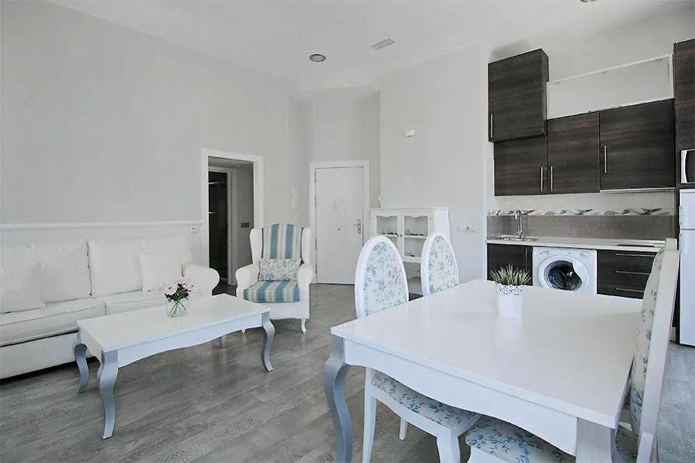 Apartamentos Calle Larios Malaga Spain
